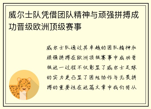 威尔士队凭借团队精神与顽强拼搏成功晋级欧洲顶级赛事