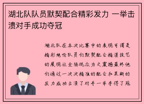 湖北队队员默契配合精彩发力 一举击溃对手成功夺冠